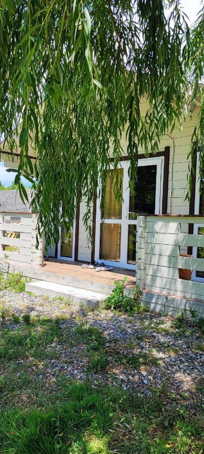 Lukomorye Pizunda Exterior foto